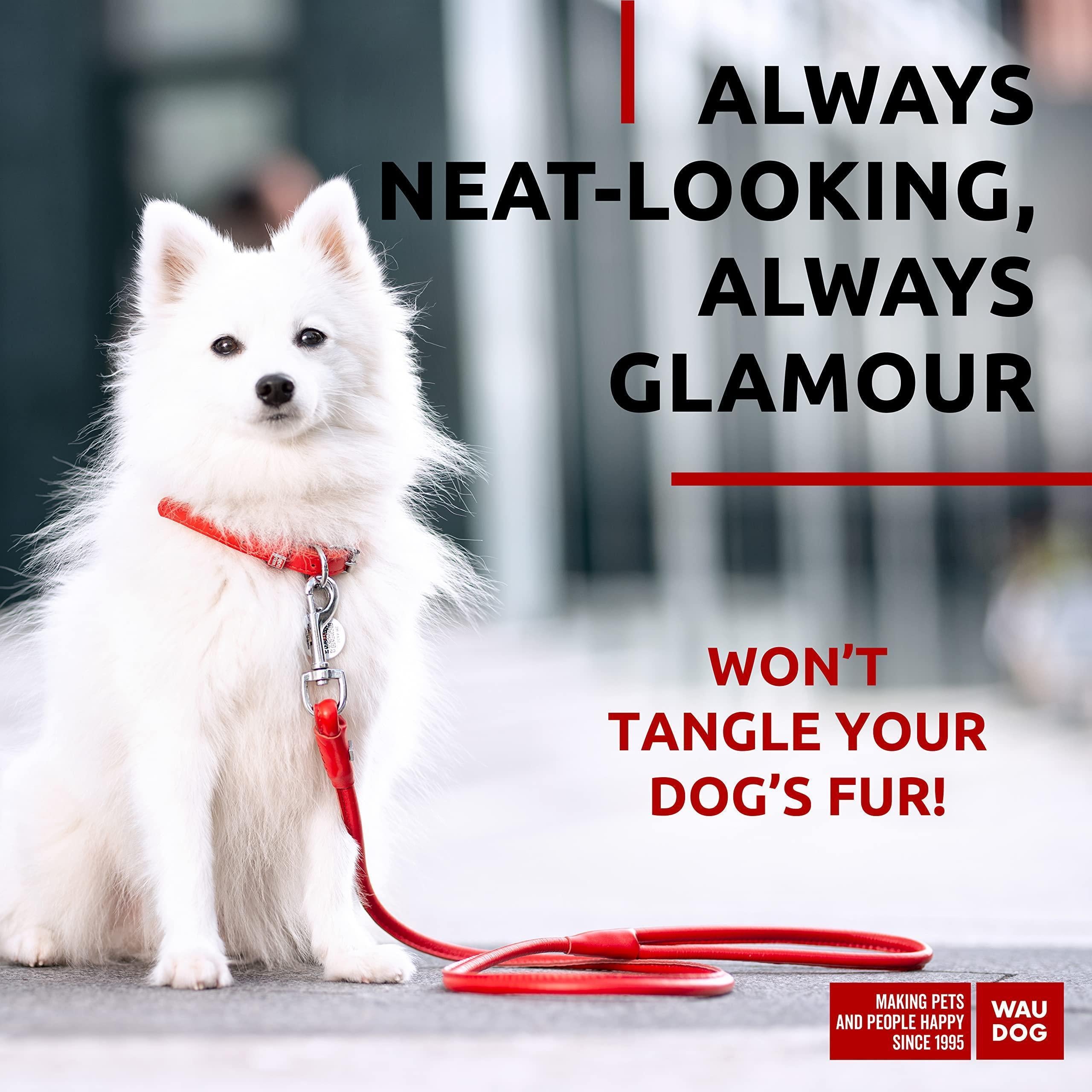 Red Rolled Leather Dog Leash 4Ft X 0.3 in for Small Medium Large Dogs Heavy