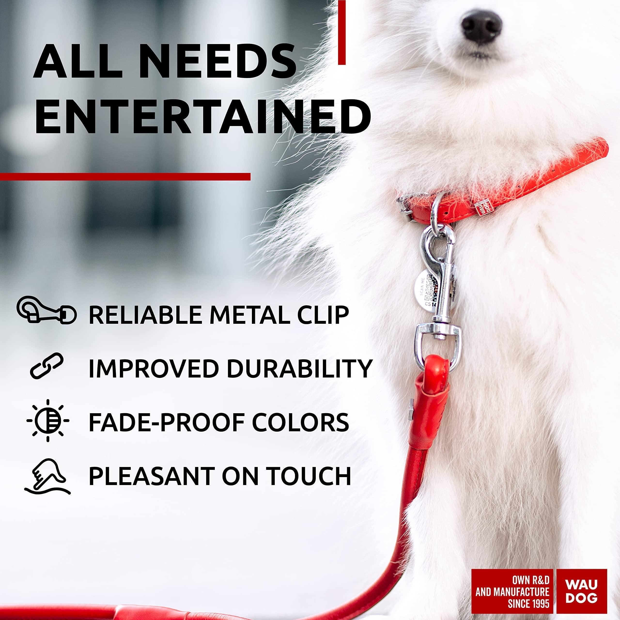 Red Rolled Leather Dog Leash 4Ft X 0.3 in for Small Medium Large Dogs Heavy