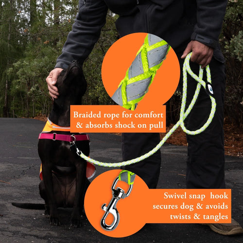 Reflective Dog Leash 6 Ft Long Heavy Duty Durable for Large Medium Breeds Rope