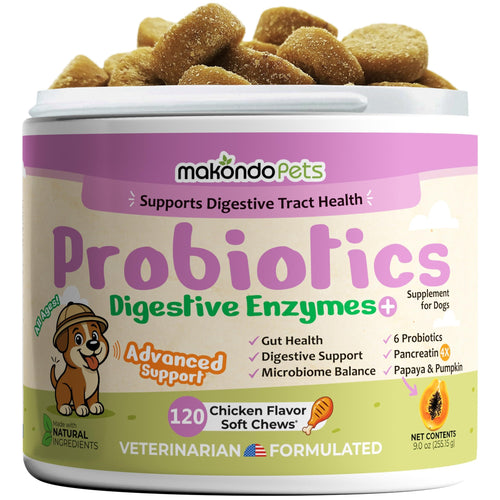 Probiotics for Dogs 120 Dog Probiotics Chews Digestive Enzymes & Pumpkin Support Gut Health Gas Diarrhea & Constipation Relief Itchy Skin Yeast Balance Allergies Pet Advanced Supplements